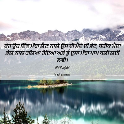 Picture 06 - ਗਿਣਤੀ 8:8 PANIRV - ਫੇਰ ਉਹ ਇੱਕ ਮੇਂਢਾ - Bible Verse Picture