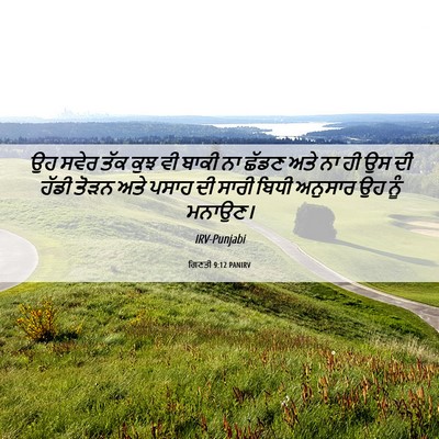 Picture 06 - ਗਿਣਤੀ 9:12 PANIRV - ਉਹ ਸਵੇਰ ਤੱਕ ਕੁਝ ਵੀ - Bible Verse Picture