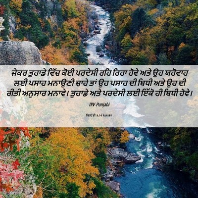 Picture 06 - ਗਿਣਤੀ 9:14 PANIRV - ਜੇਕਰ ਤੁਹਾਡੇ ਵਿੱਚ - Bible Verse Picture