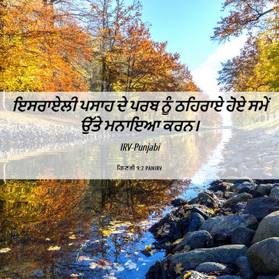 Picture 06 - ਗਿਣਤੀ 9:2 PANIRV - ਇਸਰਾਏਲੀ ਪਸਾਹ ਦੇ - Bible Verse Picture