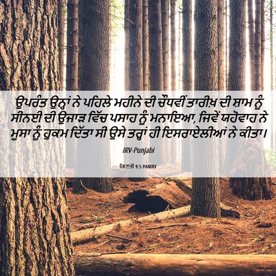 Picture 06 - ਗਿਣਤੀ 9:5 PANIRV - ਉਪਰੰਤ ਉਨ੍ਹਾਂ ਨੇ - Bible Verse Picture