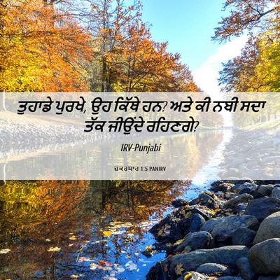 Picture 06 - ਜ਼ਕਰਯਾਹ 1:5 PANIRV - ਤੁਹਾਡੇ ਪੁਰਖੇ, ਉਹ - Bible Verse Picture
