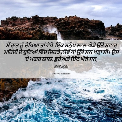 Picture 06 - ਜ਼ਕਰਯਾਹ 1:8 PANIRV - ਮੈਂ ਰਾਤ ਨੂੰ ਦੇਖਿਆ - Bible Verse Picture