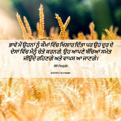 Picture 06 - ਜ਼ਕਰਯਾਹ 10:9 PANIRV - ਭਾਵੇਂ ਮੈਂ ਉਹਨਾਂ - Bible Verse Picture