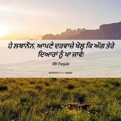 Picture 06 - ਜ਼ਕਰਯਾਹ 11:1 PANIRV - ਹੇ ਲਬਾਨੋਨ, ਆਪਣੇ - Bible Verse Picture