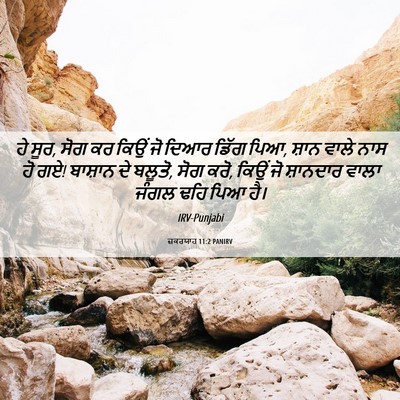 Picture 06 - ਜ਼ਕਰਯਾਹ 11:2 PANIRV - ਹੇ ਸੂਰ, ਸੋਗ ਕਰ ਕਿਉਂ - Bible Verse Picture