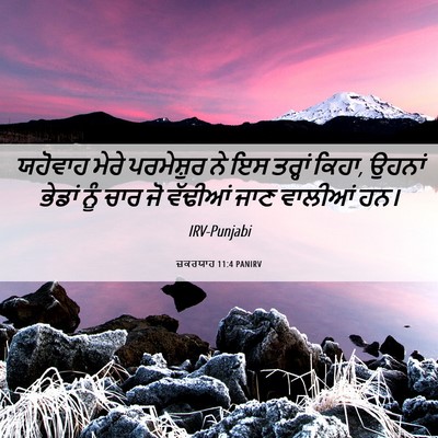 Picture 06 - ਜ਼ਕਰਯਾਹ 11:4 PANIRV - ਯਹੋਵਾਹ ਮੇਰੇ - Bible Verse Picture