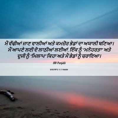 Picture 06 - ਜ਼ਕਰਯਾਹ 11:7 PANIRV - ਮੈਂ ਵੱਢੀਆਂ ਜਾਣ - Bible Verse Picture