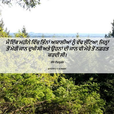 Picture 06 - ਜ਼ਕਰਯਾਹ 11:8 PANIRV - ਮੈਂ ਇੱਕ ਮਹੀਨੇ ਵਿੱਚ - Bible Verse Picture