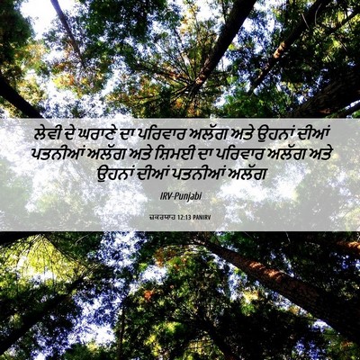 Picture 06 - ਜ਼ਕਰਯਾਹ 12:13 PANIRV - ਲੇਵੀ ਦੇ ਘਰਾਣੇ ਦਾ - Bible Verse Picture