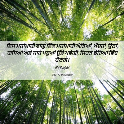Picture 06 - ਜ਼ਕਰਯਾਹ 14:15 PANIRV - ਇਸ ਮਹਾਂਮਾਰੀ - Bible Verse Picture