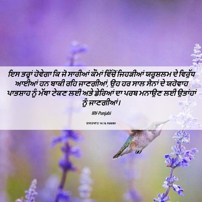 Picture 06 - ਜ਼ਕਰਯਾਹ 14:16 PANIRV - ਇਸ ਤਰ੍ਹਾਂ ਹੋਵੇਗਾ - Bible Verse Picture