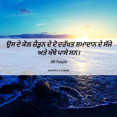 Picture 06 - ਜ਼ਕਰਯਾਹ 4:3 PANIRV - ਉਸ ਦੇ ਕੋਲ ਜ਼ੈਤੂਨ ਦੇ - Bible Verse Picture