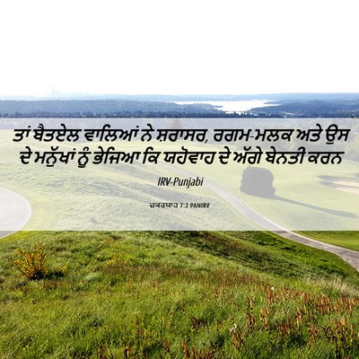 Picture 06 - ਜ਼ਕਰਯਾਹ 7:2 PANIRV - ਤਾਂ ਬੈਤਏਲ ਵਾਲਿਆਂ - Bible Verse Picture