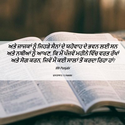 Picture 06 - ਜ਼ਕਰਯਾਹ 7:3 PANIRV - ਅਤੇ ਜਾਜਕਾਂ ਨੂੰ - Bible Verse Picture