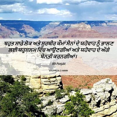 Picture 06 - ਜ਼ਕਰਯਾਹ 8:22 PANIRV - ਬਹੁਤ ਸਾਰੇ ਲੋਕ ਅਤੇ - Bible Verse Picture