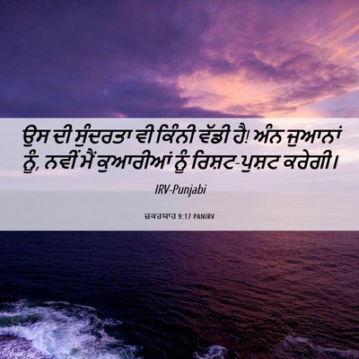 Picture 06 - ਜ਼ਕਰਯਾਹ 9:17 PANIRV - ਉਸ ਦੀ ਸੁੰਦਰਤਾ ਵੀ - Bible Verse Picture