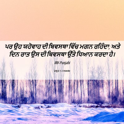 Picture 06 - ਜ਼ਬੂਰ 1:2 PANIRV - ਪਰ ਉਹ ਯਹੋਵਾਹ ਦੀ - Bible Verse Picture