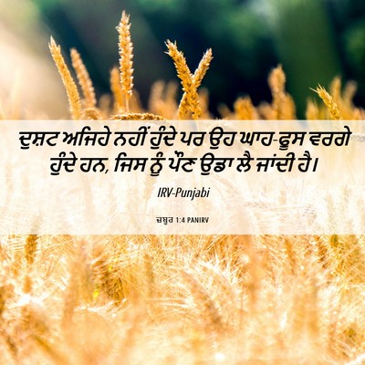 Picture 06 - ਜ਼ਬੂਰ 1:4 PANIRV - ਦੁਸ਼ਟ ਅਜਿਹੇ ਨਹੀਂ - Bible Verse Picture