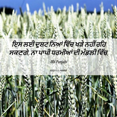 Picture 06 - ਜ਼ਬੂਰ 1:5 PANIRV - ਇਸ ਲਈ ਦੁਸ਼ਟ ਨਿਆਂ - Bible Verse Picture