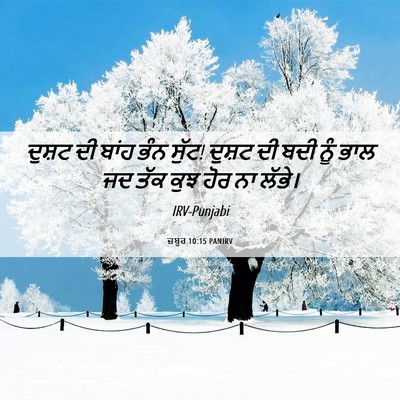 Picture 06 - ਜ਼ਬੂਰ 10:15 PANIRV - ਦੁਸ਼ਟ ਦੀ ਬਾਂਹ ਭੰਨ - Bible Verse Picture