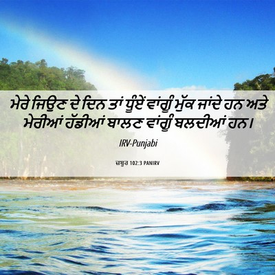 Picture 06 - ਜ਼ਬੂਰ 102:3 PANIRV - ਮੇਰੇ ਜਿਉਣ ਦੇ ਦਿਨ - Bible Verse Picture