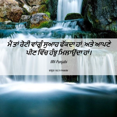 Picture 06 - ਜ਼ਬੂਰ 102:9 PANIRV - ਮੈਂ ਤਾਂ ਰੋਟੀ - Bible Verse Picture