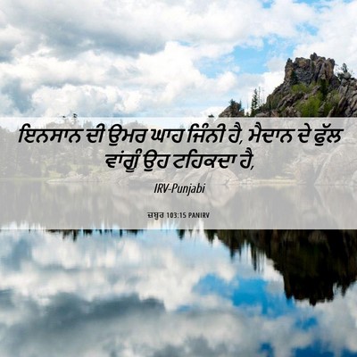 Picture 06 - ਜ਼ਬੂਰ 103:15 PANIRV - ਇਨਸਾਨ ਦੀ ਉਮਰ ਘਾਹ - Bible Verse Picture