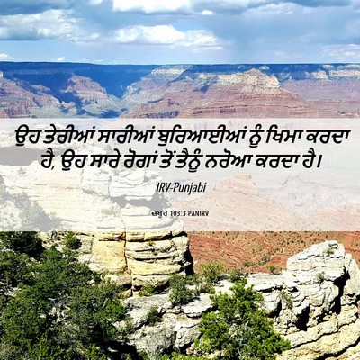 Picture 06 - ਜ਼ਬੂਰ 103:3 PANIRV - ਉਹ ਤੇਰੀਆਂ ਸਾਰੀਆਂ - Bible Verse Picture