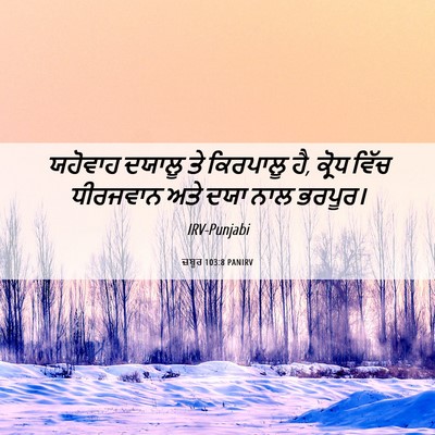 Picture 06 - ਜ਼ਬੂਰ 103:8 PANIRV - ਯਹੋਵਾਹ ਦਯਾਲੂ ਤੇ - Bible Verse Picture