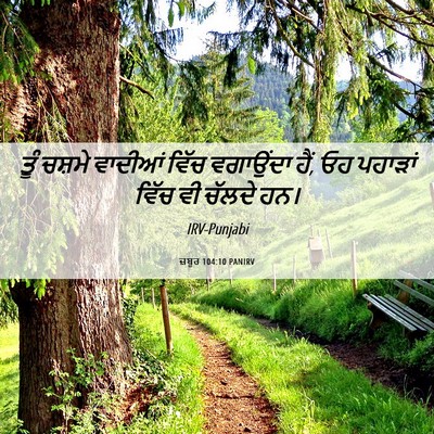 Picture 06 - ਜ਼ਬੂਰ 104:10 PANIRV - ਤੂੰ ਚਸ਼ਮੇ ਵਾਦੀਆਂ - Bible Verse Picture