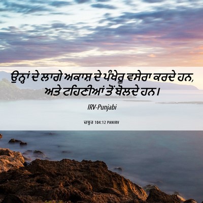 Picture 06 - ਜ਼ਬੂਰ 104:12 PANIRV - ਉਨ੍ਹਾਂ ਦੇ ਲਾਗੇ - Bible Verse Picture