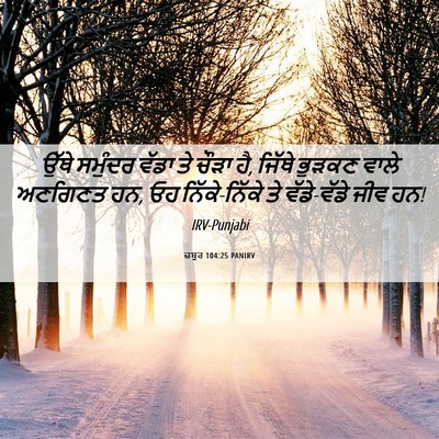 Picture 06 - ਜ਼ਬੂਰ 104:25 PANIRV - ਉੱਥੇ ਸਮੁੰਦਰ ਵੱਡਾ - Bible Verse Picture