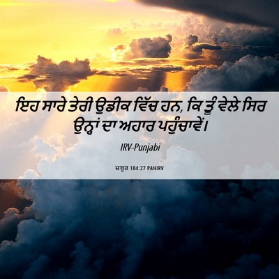 Picture 06 - ਜ਼ਬੂਰ 104:27 PANIRV - ਇਹ ਸਾਰੇ ਤੇਰੀ ਉਡੀਕ - Bible Verse Picture