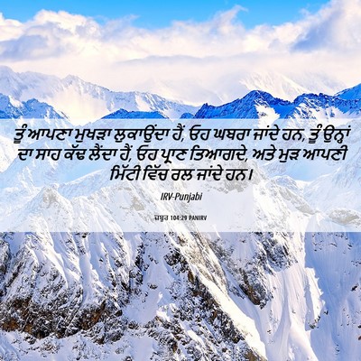 Picture 06 - ਜ਼ਬੂਰ 104:29 PANIRV - ਤੂੰ ਆਪਣਾ ਮੁਖੜਾ - Bible Verse Picture