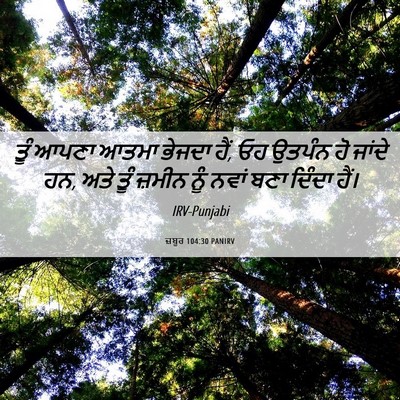 Picture 06 - ਜ਼ਬੂਰ 104:30 PANIRV - ਤੂੰ ਆਪਣਾ ਆਤਮਾ - Bible Verse Picture