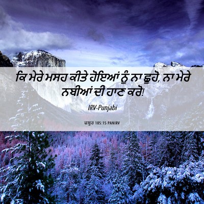 Picture 06 - ਜ਼ਬੂਰ 105:15 PANIRV - ਕਿ ਮੇਰੇ ਮਸਹ ਕੀਤੇ - Bible Verse Picture
