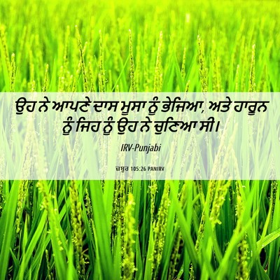 Picture 06 - ਜ਼ਬੂਰ 105:26 PANIRV - ਉਹ ਨੇ ਆਪਣੇ ਦਾਸ ਮੂਸਾ - Bible Verse Picture