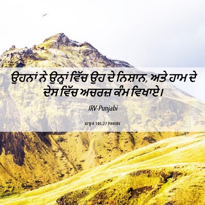 Picture 06 - ਜ਼ਬੂਰ 105:27 PANIRV - ਉਹਨਾਂ ਨੇ ਉਨ੍ਹਾਂ - Bible Verse Picture