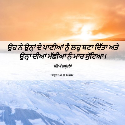 Picture 06 - ਜ਼ਬੂਰ 105:29 PANIRV - ਉਹ ਨੇ ਉਨ੍ਹਾਂ ਦੇ - Bible Verse Picture