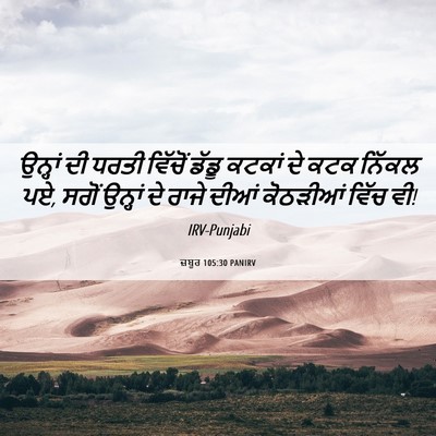 Picture 06 - ਜ਼ਬੂਰ 105:30 PANIRV - ਉਨ੍ਹਾਂ ਦੀ ਧਰਤੀ - Bible Verse Picture