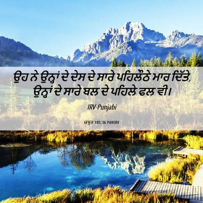 Picture 06 - ਜ਼ਬੂਰ 105:36 PANIRV - ਉਹ ਨੇ ਉਨ੍ਹਾਂ ਦੇ ਦੇਸ - Bible Verse Picture