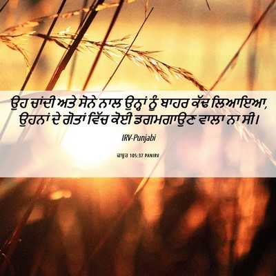 Picture 06 - ਜ਼ਬੂਰ 105:37 PANIRV - ਉਹ ਚਾਂਦੀ ਅਤੇ ਸੋਨੇ - Bible Verse Picture