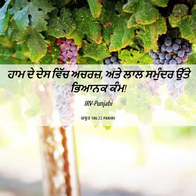 Picture 06 - ਜ਼ਬੂਰ 106:22 PANIRV - ਹਾਮ ਦੇ ਦੇਸ ਵਿੱਚ - Bible Verse Picture