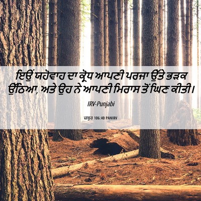 Picture 06 - ਜ਼ਬੂਰ 106:40 PANIRV - ਇਉਂ ਯਹੋਵਾਹ ਦਾ - Bible Verse Picture