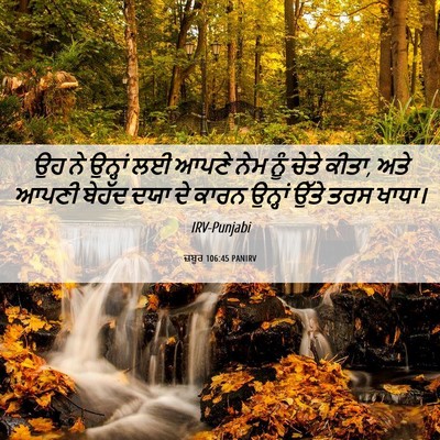 Picture 06 - ਜ਼ਬੂਰ 106:45 PANIRV - ਉਹ ਨੇ ਉਨ੍ਹਾਂ ਲਈ - Bible Verse Picture