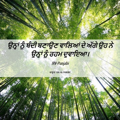 Picture 06 - ਜ਼ਬੂਰ 106:46 PANIRV - ਉਨ੍ਹਾਂ ਨੂੰ ਬੰਦੀ - Bible Verse Picture