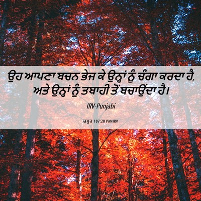 Picture 06 - ਜ਼ਬੂਰ 107:20 PANIRV - ਉਹ ਆਪਣਾ ਬਚਨ ਭੇਜ ਕੇ - Bible Verse Picture