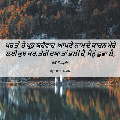 Picture 06 - ਜ਼ਬੂਰ 109:21 PANIRV - ਪਰ ਤੂੰ, ਹੇ ਪ੍ਰਭੂ - Bible Verse Picture