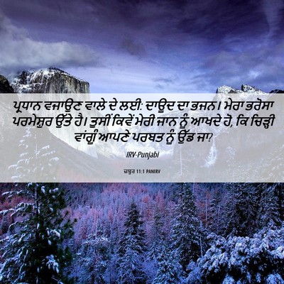 Picture 06 - ਜ਼ਬੂਰ 11:1 PANIRV - ਪ੍ਰਧਾਨ ਵਜਾਉਣ ਵਾਲੇ - Bible Verse Picture